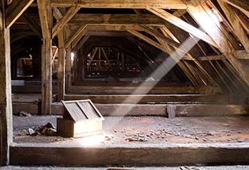 Signs Your Attic Needs Cleaning | Laguna Beach, CA