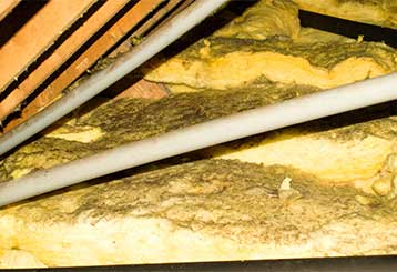 Attic Insulation Removal | Attic Cleaning Laguna Beach, CA