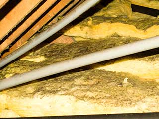 Insulation Removal Services | Attic Cleaning Laguna Beach, CA Insulation Removal Services | Attic Cleaning Laguna Beach, CA